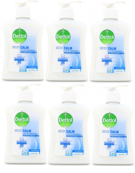 Dettol Liquid Antibacterial Handwash Camomile - 6 x 250ml
