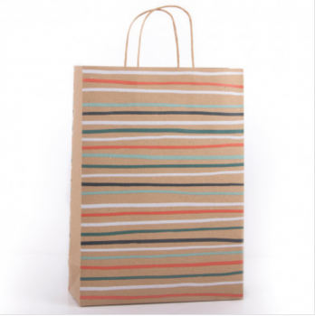 Eco Nature Colourful Striped Gift Bag - Large Size