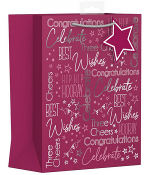 Gift Maker Medium Multi Occasion Gift Bag - Pink Text