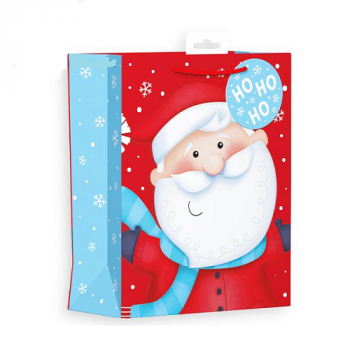 Santa's Face Christmas Gift Bag Medium 