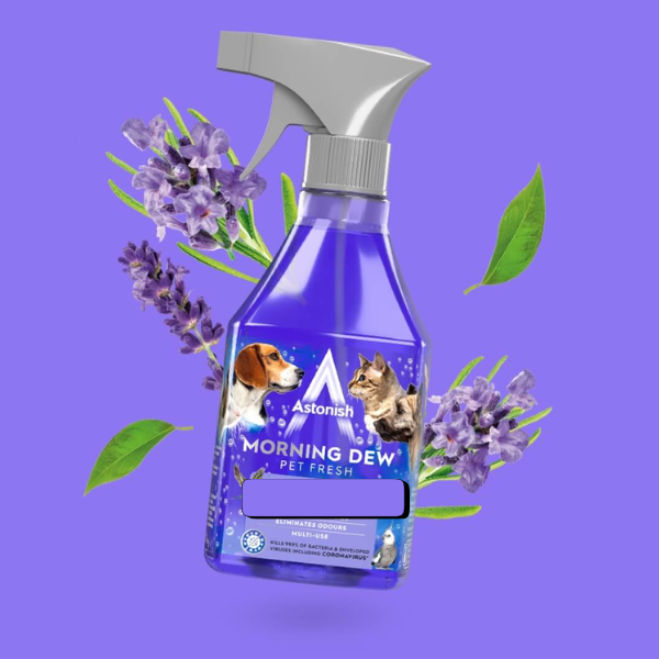 Astonish Disinfectant Spray Ready to Use Morning Dew Trigger Spray 12 x 550ml