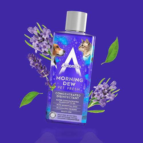 Astonish Concentrated Disinfectant Morning Dew 300ml