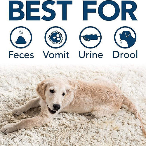 Insette Pet Stain & Odour Removal Mousse 500ml