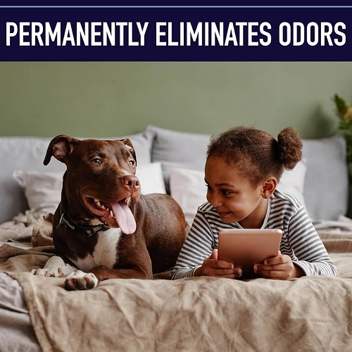 Insette Pet Stain & Odour Removal Mousse 500ml