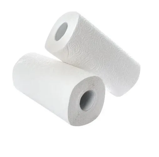 Little Duck Ultra All-Purpose Kitchen Towel 2 Rolls x 10 Packs