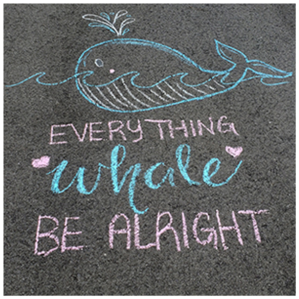 Crayola Coloured Chalk 12 pcs x 8 Packs 