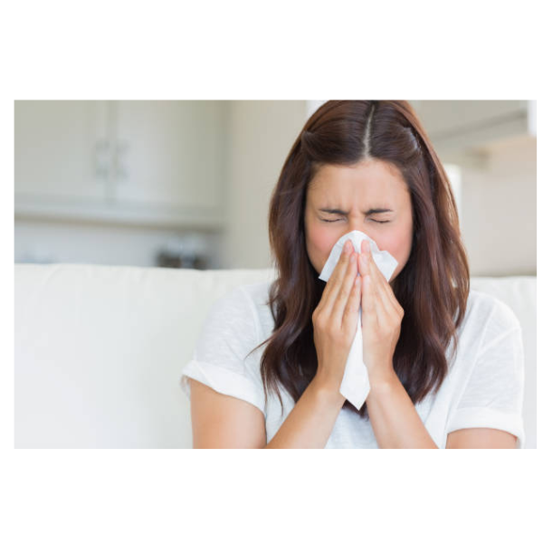 Little Duck Classic 90 Facial Tissues Twin pack 