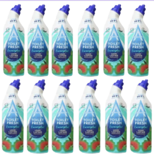 Astonish Toilet Fresh Gel Eucalyptus 750ml X 12